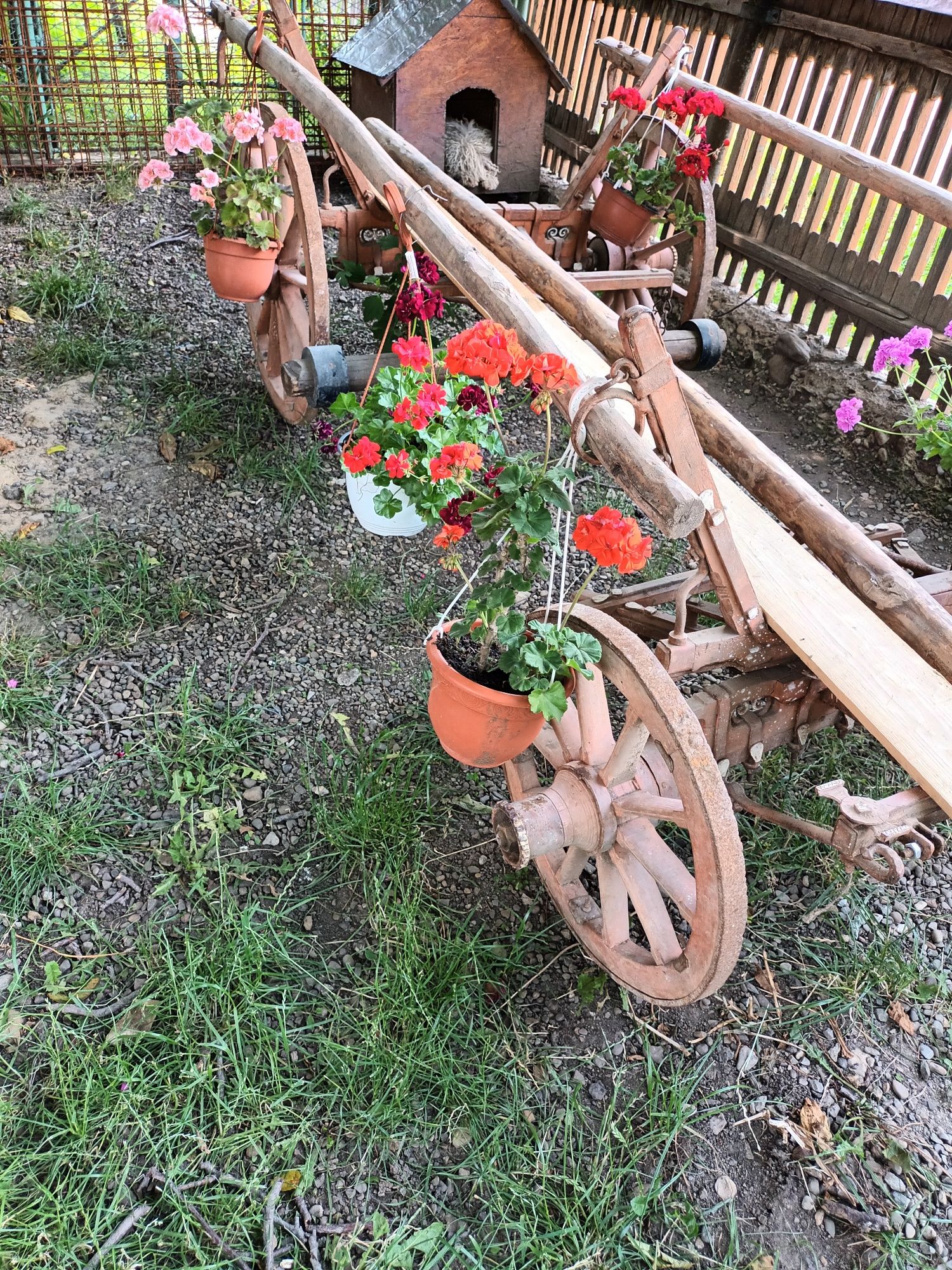 Căruță de vânzare