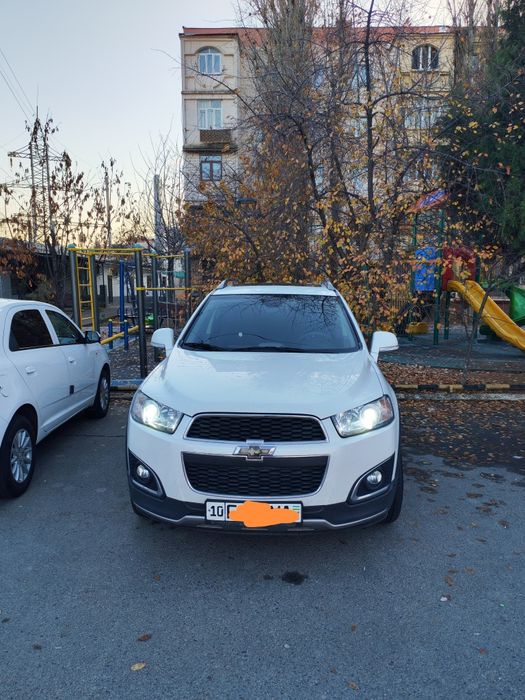 Kaptiva 3. 2013. Oq jemchuk