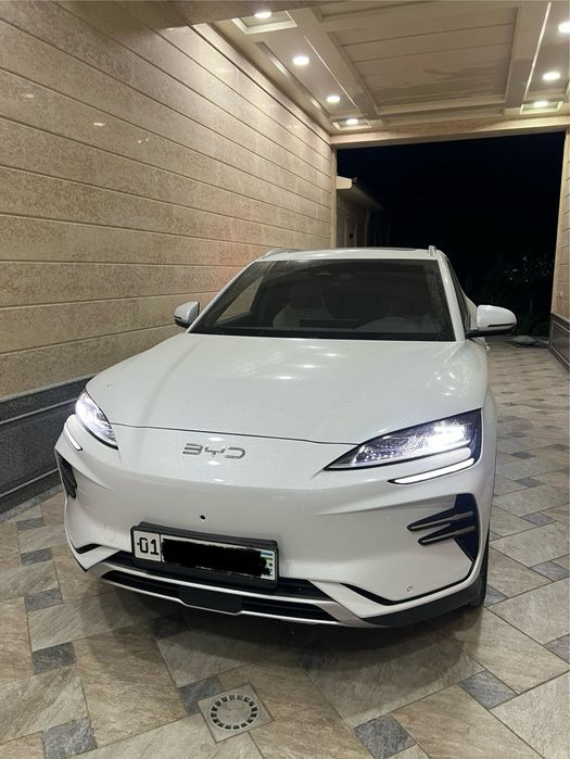 Эгасидан Byd Champion Рестайлинг EV 605км 27500$