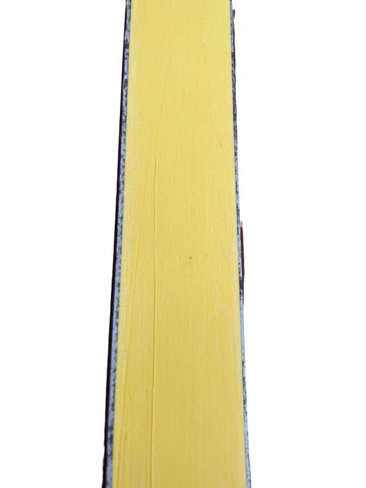 Clăparii Rossignol Intense I10 + Schiuri DECTAR