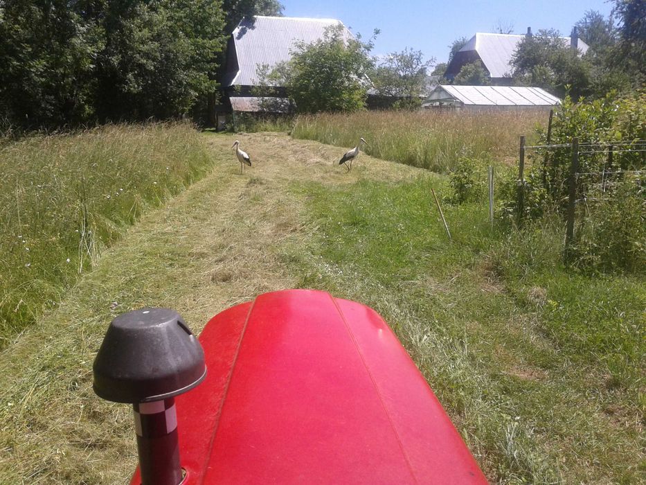 Fan si otava, sat Margau, Cluj