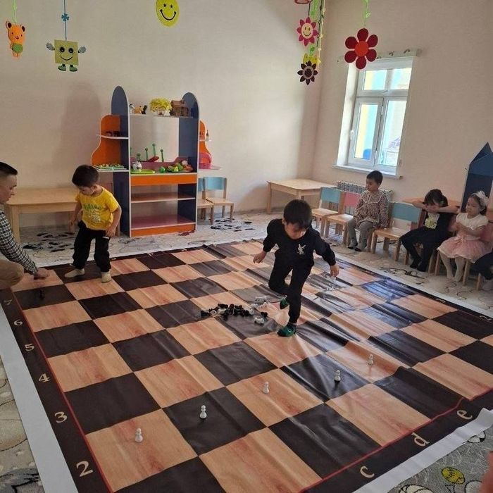 Тренер по шахматам дошкольного возраста