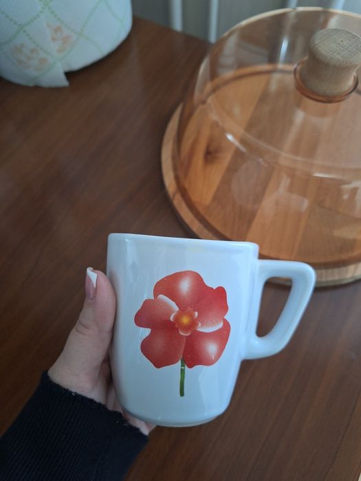 Cani si tablouri pt casa