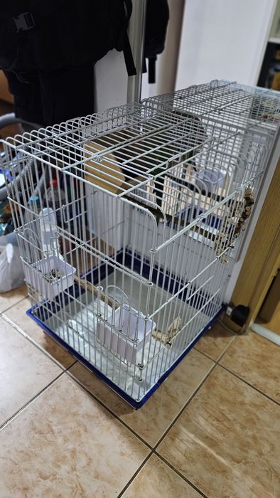 Papagal Micul Alexandru, impreuna cu colivie