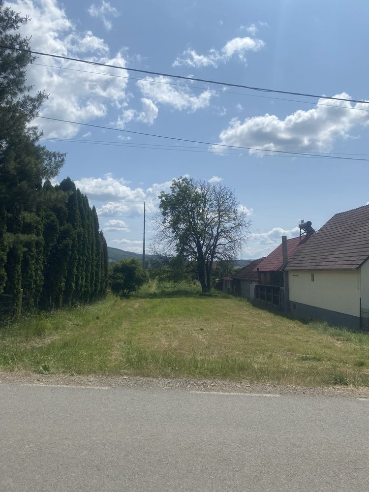 Vindem pamant.