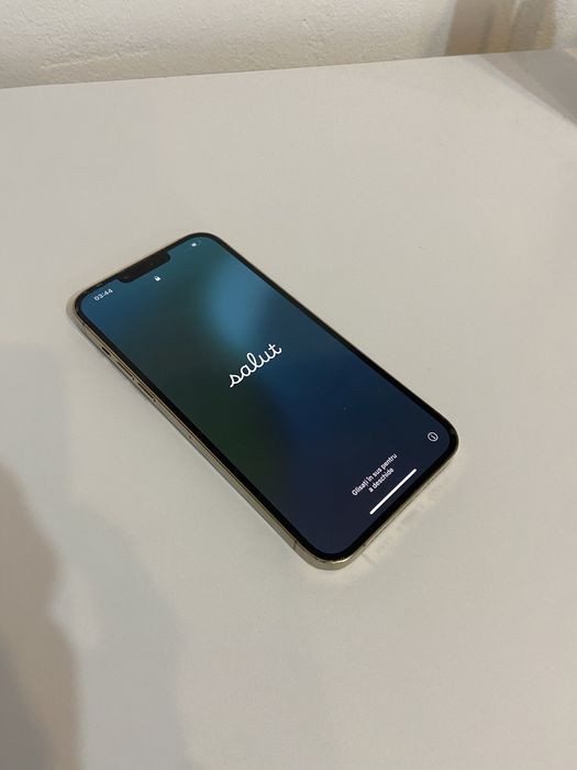 iphone 13 pro max 256GB