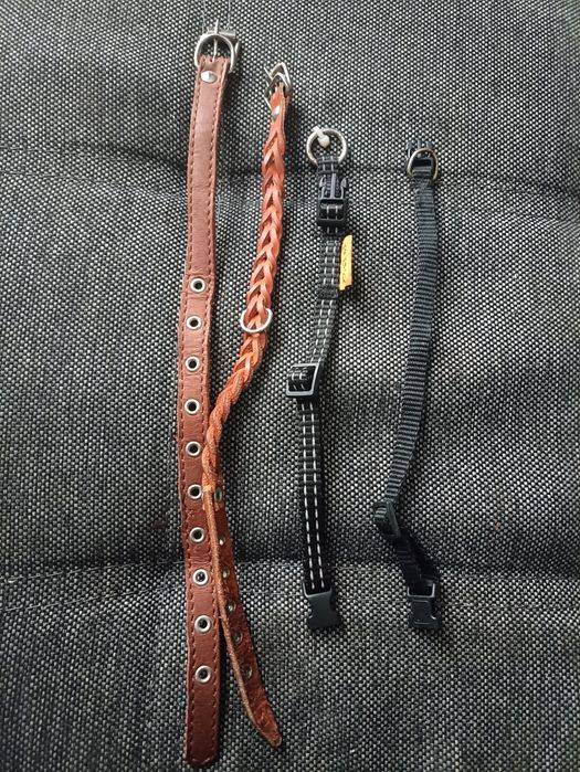 Ощейники поводки намордник