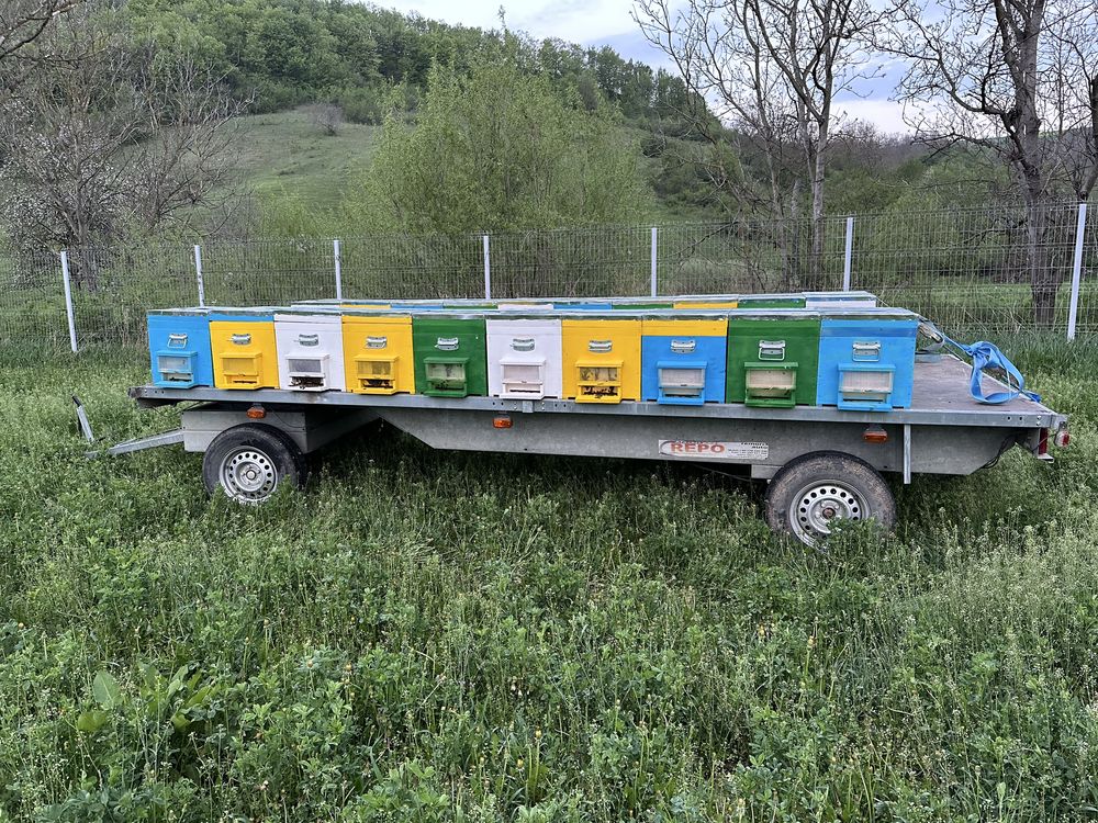 Vand platforma apicola cu stupi