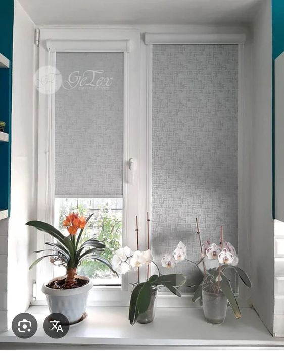 Ролл штор и  день и ночь дикий тюль