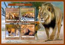 Super timbre colita Burkina Faso tema fauna animale leul