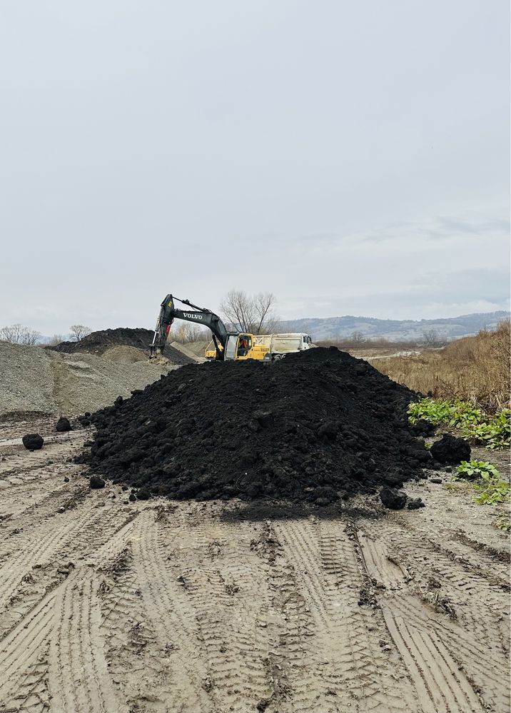 Pământ vegetal , pământ negru