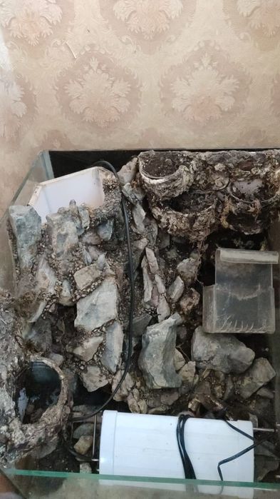 Продам палюдариум