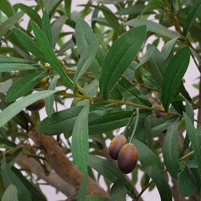 Изкуствено маслиново дръвче