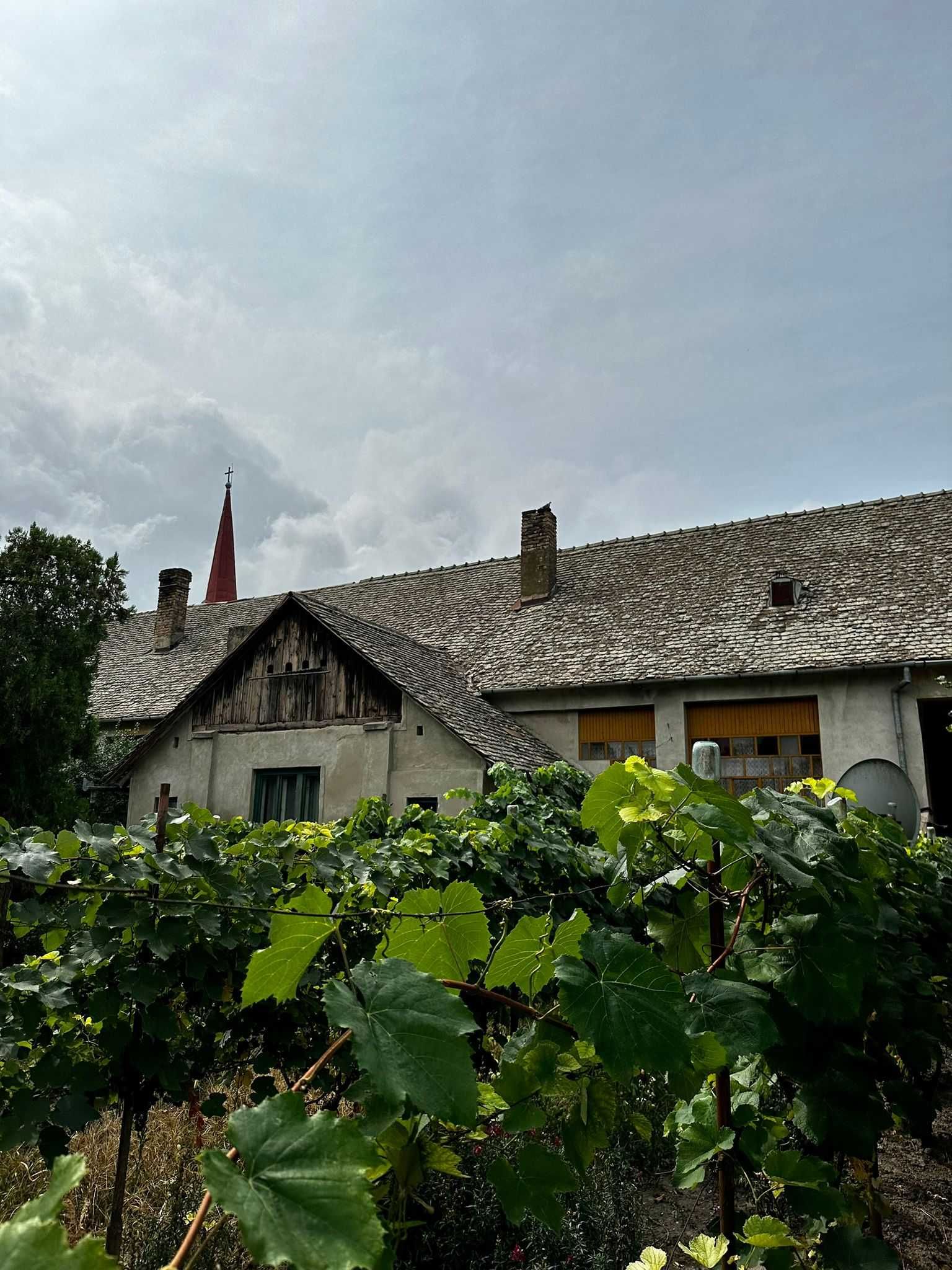 Casă de patrimoniu rural, sfârșit secol XIX  – Otelec