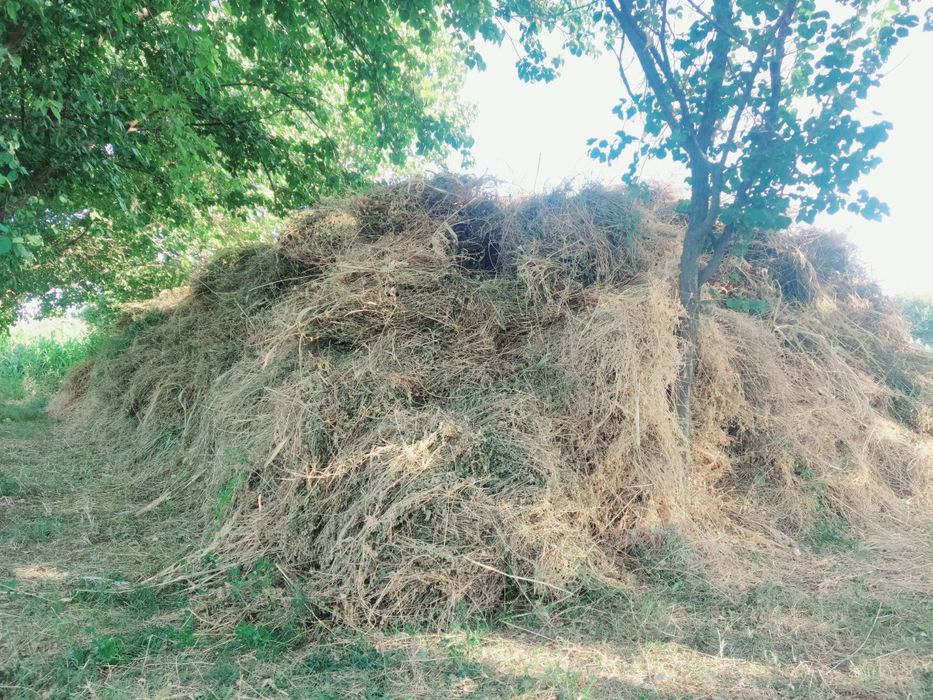 Beda bog' srochno sotiladi+BONUS!!!