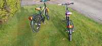 Biciclete copii 20 inch AR COMP 200