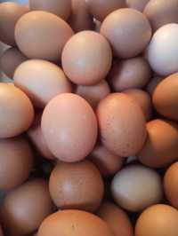 Свежие домашние яйца 80 т