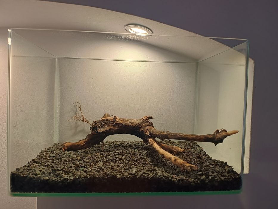 Acvariu aproape nou cu substrat si lemn natural decor