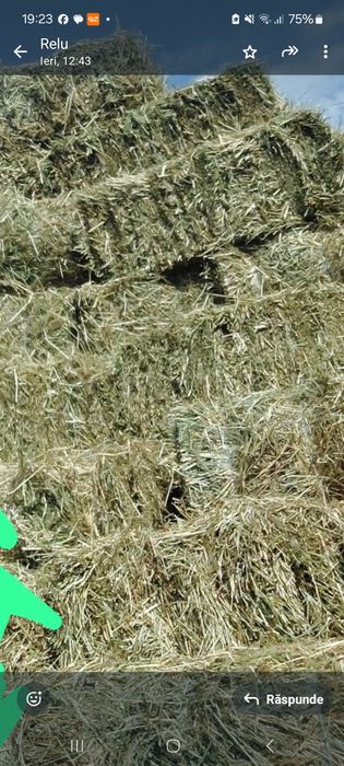 Porumb , grau , baloti fan , baloti lucerna 1