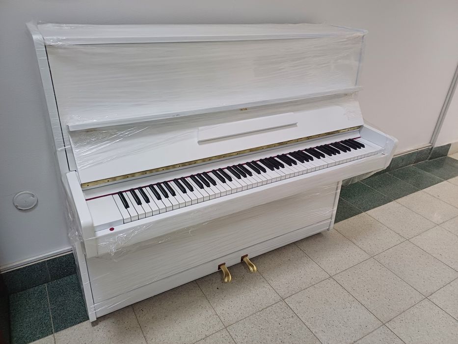 Yangi belarus oq rangda