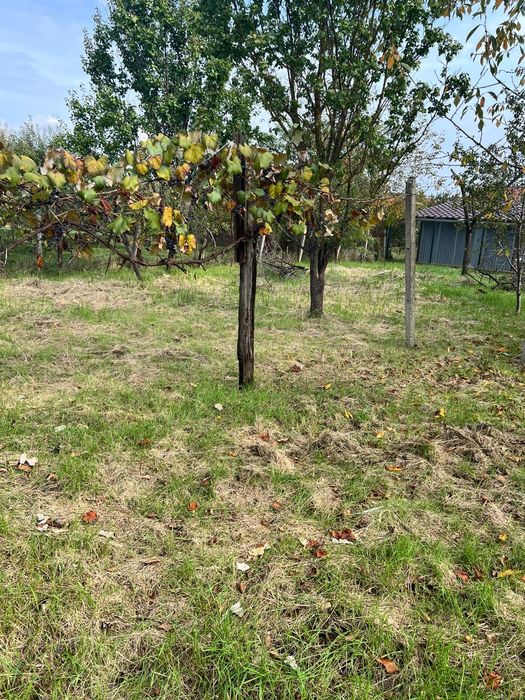 Vând casă în Simeria