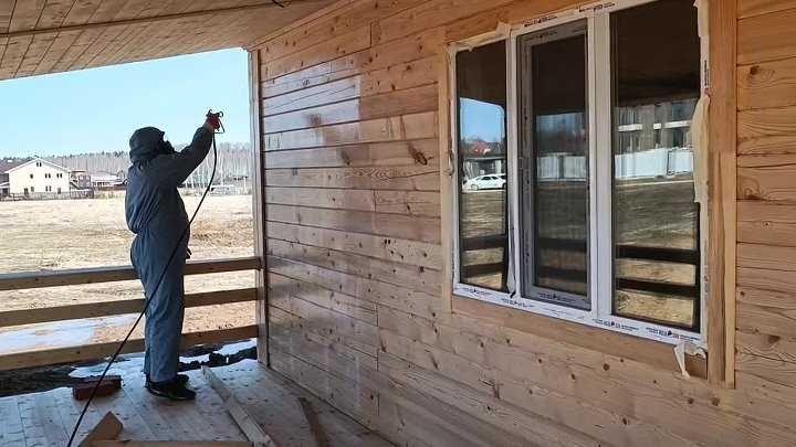 Обработка потолка от короеда