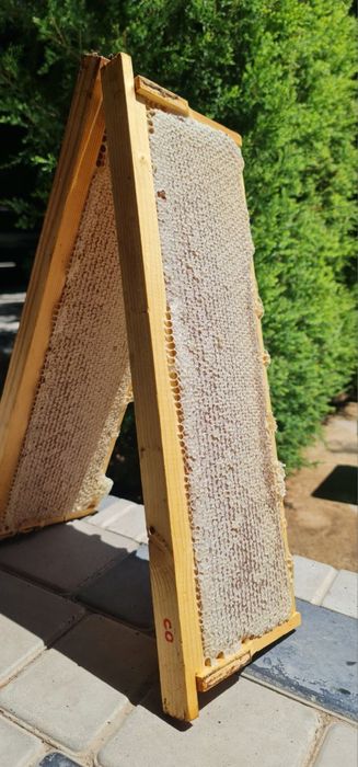 Натуральный Мёд, горный, степной, хлопковый, аккураевый