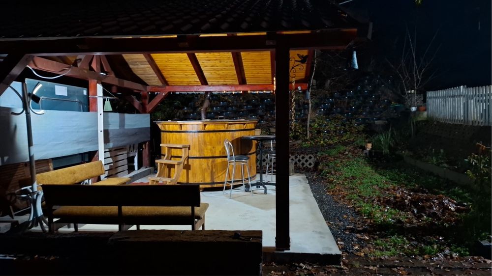 Cabana Borzia/Rastolita Mures (liber craciun)