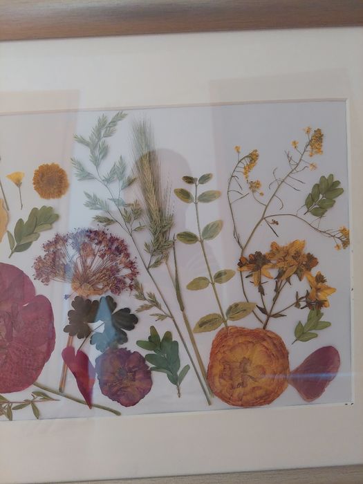 Tablou cu flori presate