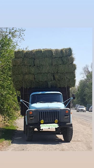 Сено Табиги  Шоп Разнотравье