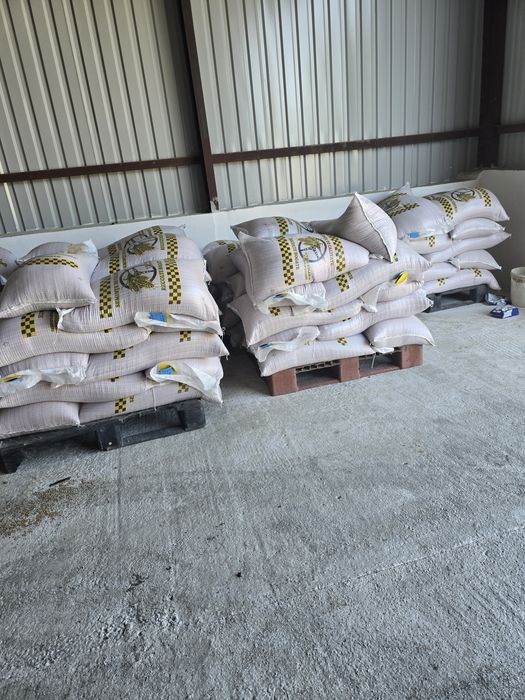 Vând sămânță de  grau