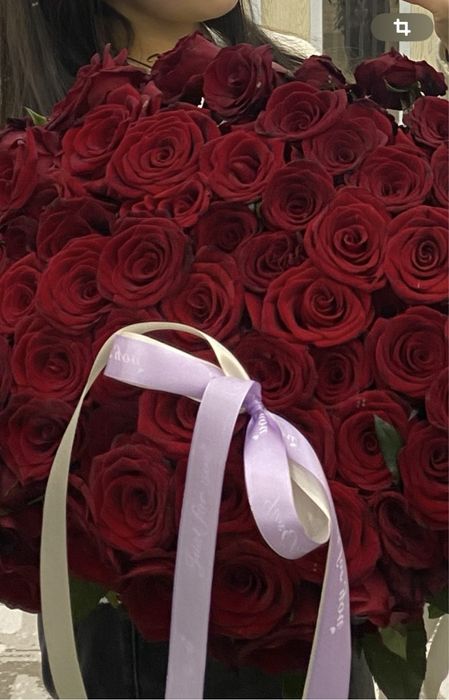 Цветы голландскии роза