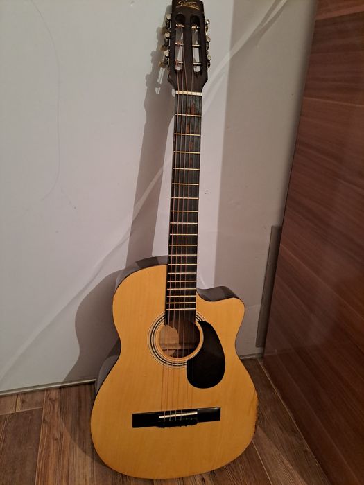 Гитара  чехолымен