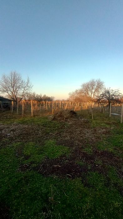 Casă bătrânească