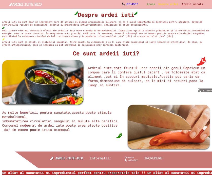 Creare și administrare website