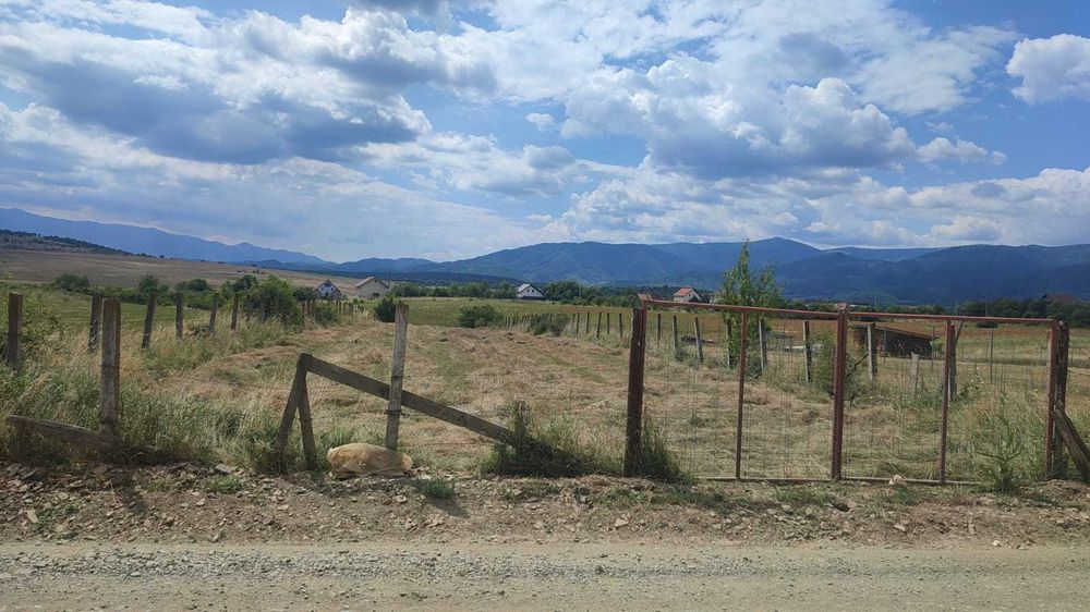 Vind teren 1250 m  teren intravilan situat pe str Sibiului în Cisnadie