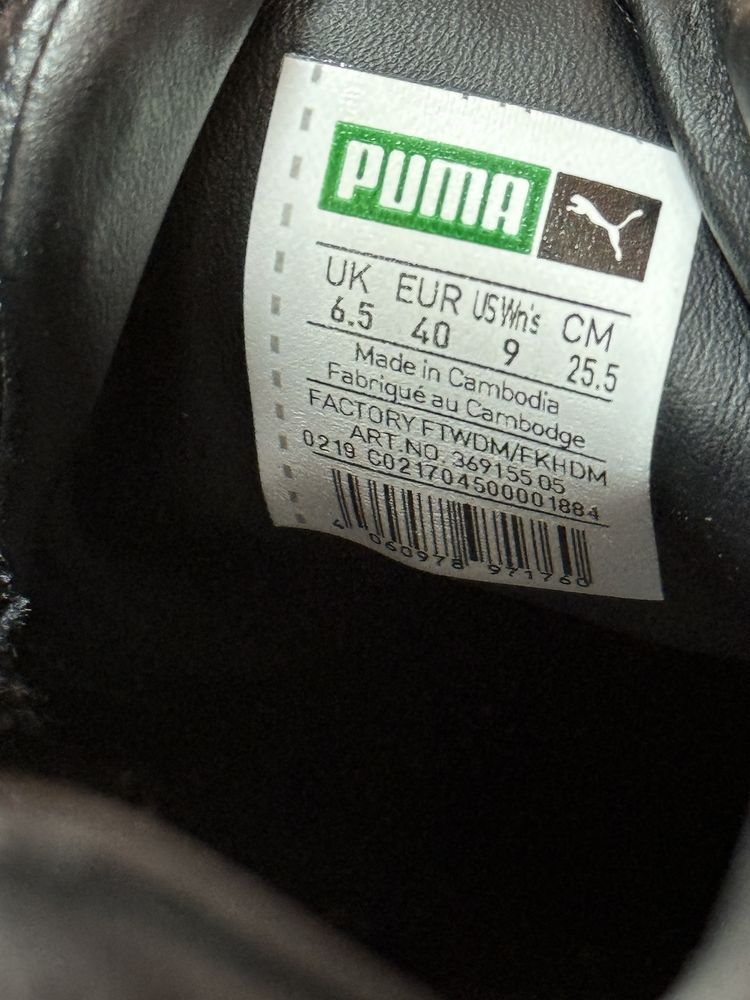 Puma cali wns.