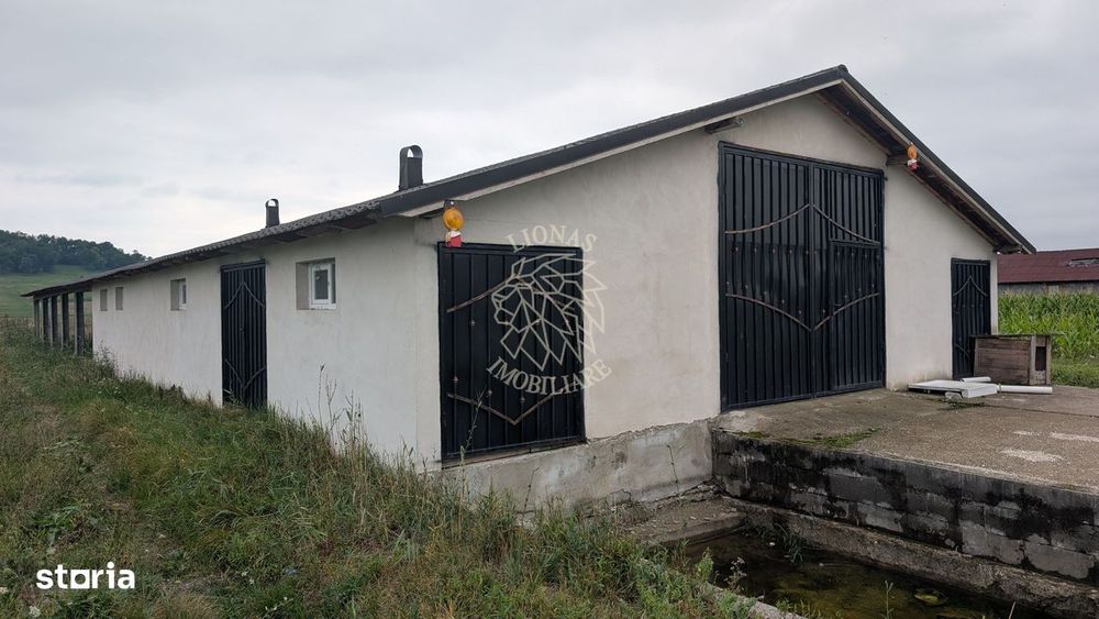 Hala Noua 400 mp-teren 5000 mp-ideal ferma, productie-Cepari