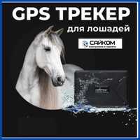 GPS для Лошадей экономьте время, нервы и деньги Доставка в Кызылорду