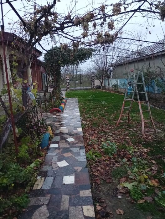 Casa   la tara 20  km de Focsani