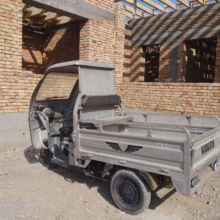 Электрони муравей