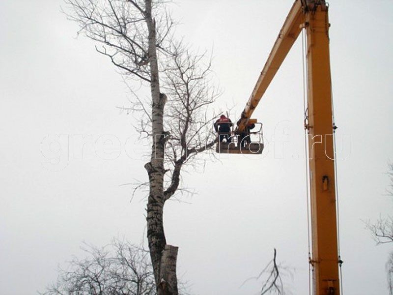 Спил обрезка деревьев.