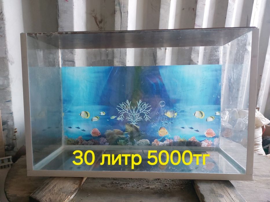 Аквариум 30л и 60л