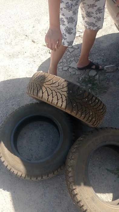 Зимные шины с шипами размеры  qwertyuiiihhgfdssaadfghuuyre