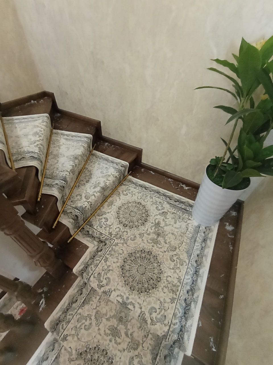 Kavrolan xizmatlari