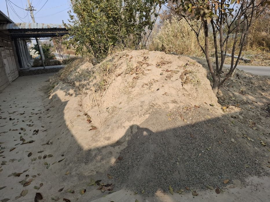 Тупроқ, тозза тупроқ