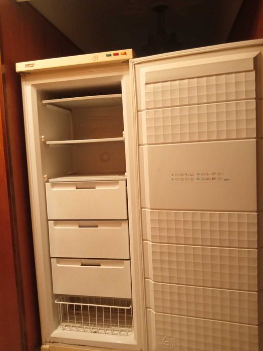 Продавам голям вертикален фризер Зануси