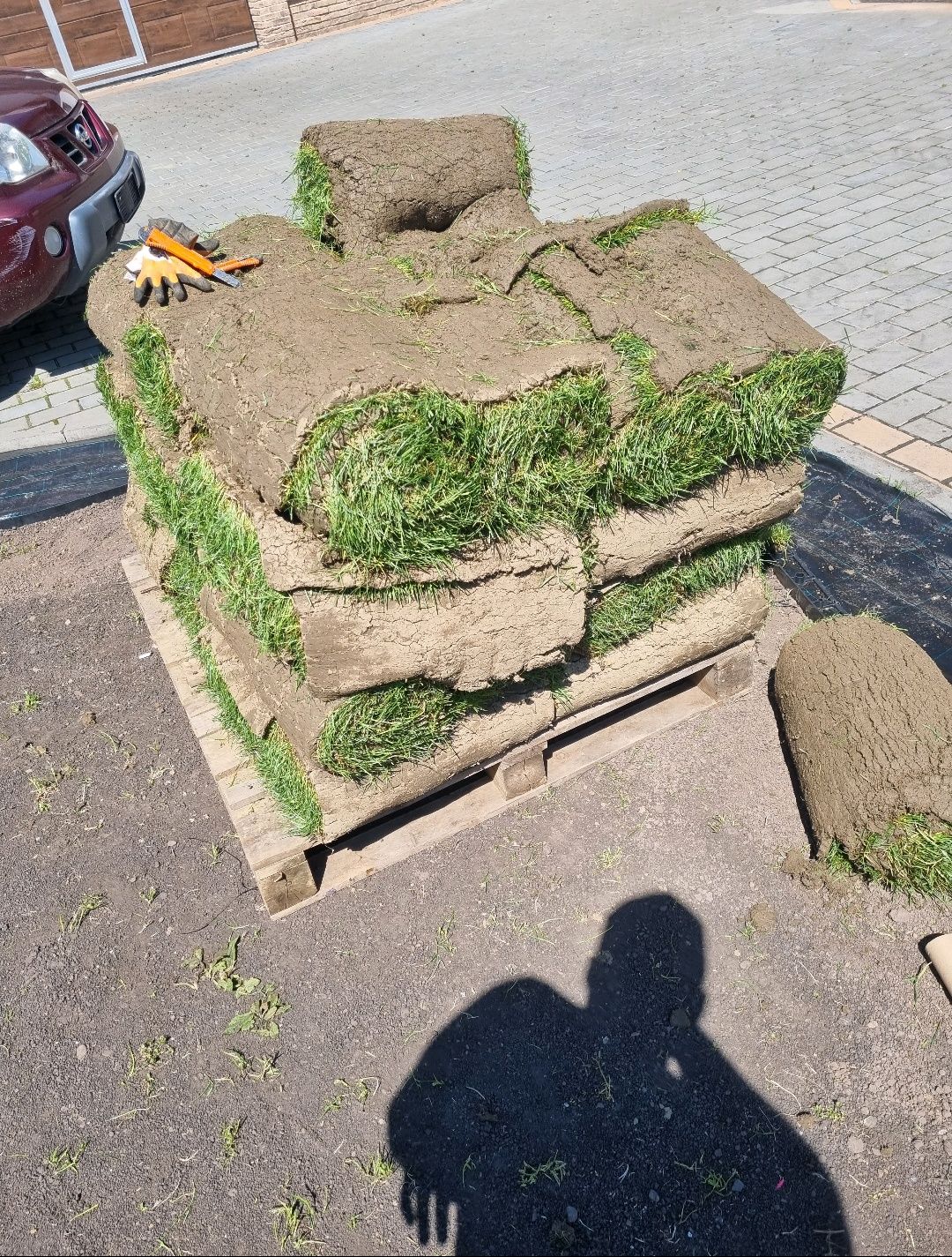 Amenajări grădini /întreținere/plante