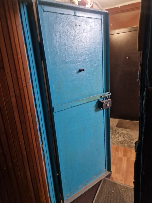 Входная дверь железный