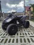 E-ton 250 CC Acte /Automat